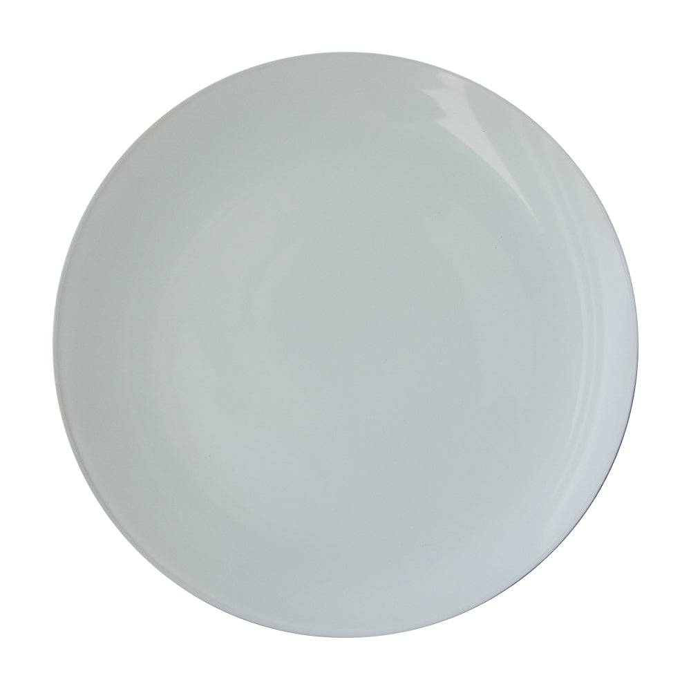 10'' Glass Plate